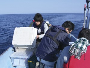 pic_lab12